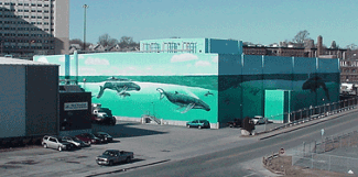 West Terminal - Wyland Painted walls